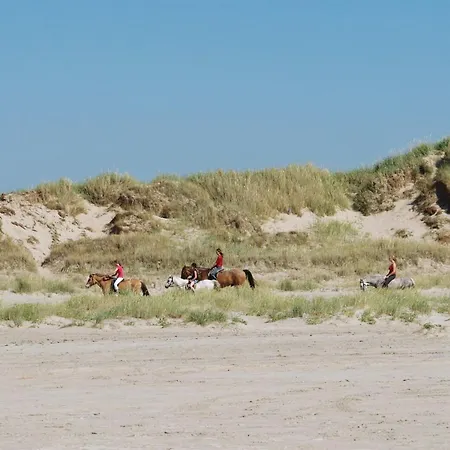 דירה Reija - 2-3km From The Sea By Interhome *